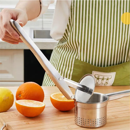 Stainless Steel Fruit Juice Squeezer & Potato Ricer